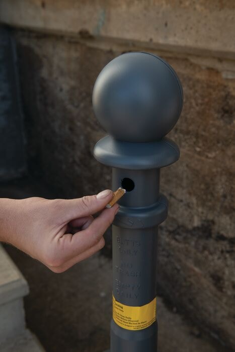 Tennessee Williams On Lois Nettleton: Her Own Magic