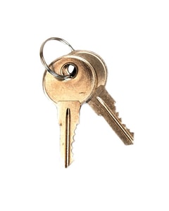 Paddle Handle Replacement Keys for Safety Cabinets, Sure-Grip® EX, Set of 2, Lock No. CH545 - 25998 Paddle Handle Replacement Keys for Safety Cabinets, Sure-Grip® EX, Set of 2, Lock No. CH545 - 25998